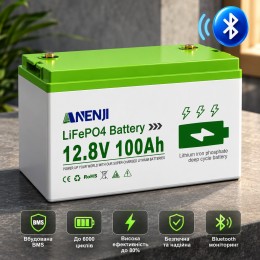 LiFePO4 12V/100Ah Акумулятор Anenji з Bluetooth для резервного живлення будинку, квартири з BMS