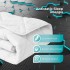Одеяло всесезонное Antistatic Sleep 140х210 см IDEIA гипоаллергенное антистатическая ткань Одеяло всесезонное Antistatic Sleep 140х210 см IDEIA гипоаллергенное антистатическая ткань