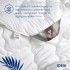 Одеяло всесезонное Super Soft Premium 140х210 см IDEIA искусственный пух хлопок антиаллергенное перкаль премиум Одеяло всесезонное Super Soft Premium 140х210 см IDEIA искусственный пух хлопок антиаллергенное перкаль премиум