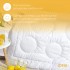 Одеяло всесезонное 175х210 см двуспальное Air Dream Exclusive IDEIA двойное супер теплое дабл антиаллергенное Одеяло всесезонное 175х210 см двуспальное Air Dream Exclusive IDEIA двойное супер теплое дабл антиаллергенное