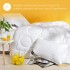 Одеяло всесезонное 175х210 см двуспальное Air Dream Exclusive IDEIA двойное супер теплое дабл антиаллергенное Одеяло всесезонное 175х210 см двуспальное Air Dream Exclusive IDEIA двойное супер теплое дабл антиаллергенное
