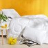 Одеяло всесезонное 175х210 см двуспальное Air Dream Exclusive IDEIA двойное супер теплое дабл антиаллергенное Одеяло всесезонное 175х210 см двуспальное Air Dream Exclusive IDEIA двойное супер теплое дабл антиаллергенное