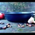  Жаровня чавунна 26*6см Т103