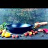 Т305С3 Сковорода чавунна 26*6см з дерев\'яною ручкою зі скляною кришкою Т305С3 Сковорода чавунна 26*6см з дерев\'яною ручкою зі скляною кришкою