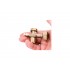 Вентиль газа Intertool для плиты турист газовых баллонов и горелок (W21.8 14LH x W19.8 14DIN4 (GS-0009) Вентиль газа Intertool для плиты турист газовых баллонов и горелок (W21.8 14LH x W19.8 14DIN4 (GS-0009)