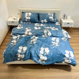 Постельное белье “LeLIT”,Поликотон,Голубой,Семейный, P-0122
