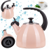 Чайник эмалированный Kamille 2.5л розовый (1040B)
