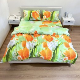 Постельное белье “LeLIT”, Поликотон, Салатовый, Евро, P-0119